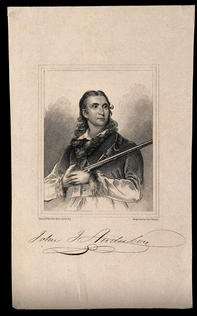Jean Jacques Audubon. Line engraving